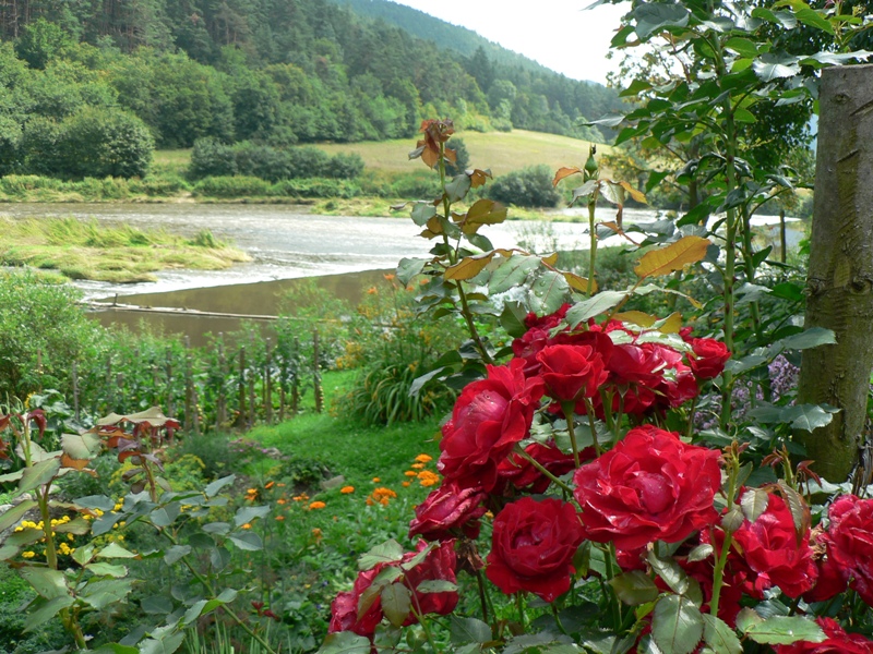 Podkaršovský  vodník 2011 005