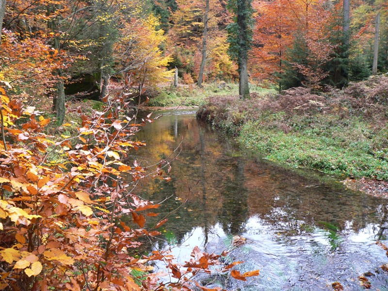 Chřibská podzimní prázdniny 2012 009