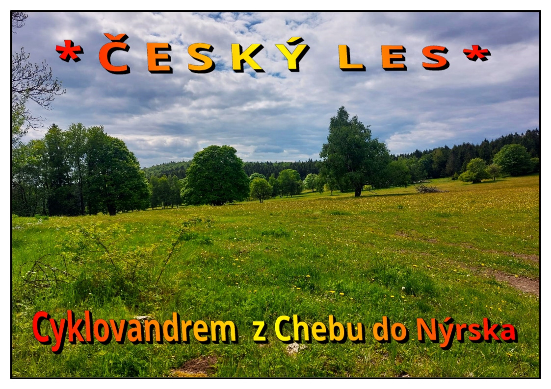 00 - Čeký les