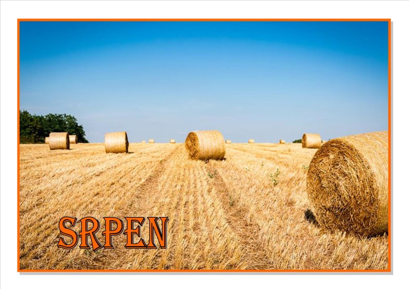 08---srpen-1.jpg