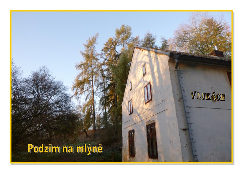 v-lukach.jpg