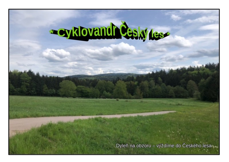 cesky-les.jpg